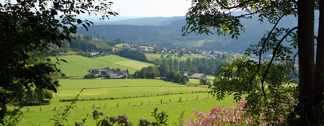 Blick vom Lenscheid nach R�nkhausen