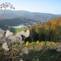 Bild vergr��ern: IMG_2095