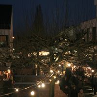 Bild vergr��ern: Weihnachtsmarkt_2008 (68)