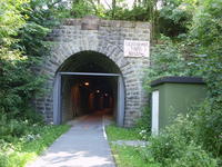 Bild vergr��ern: Fledermaustunnel ge�ffnet