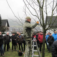 Gro�es Interesse am Obstbaumschnittkurs in Serkenrode