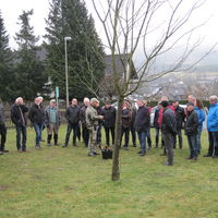 Bild vergr��ern: Obstbaumschnittkurs 02.03.2019 (2)