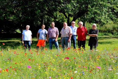 Bunte Blumenwiesen in der Gemeinde Finnentrop