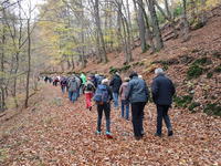 Bild vergr��ern: J�hrliche Herbstwanderung Senioren 2019
