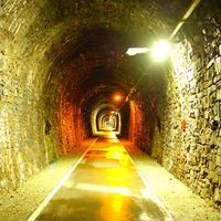 Bild vergr��ern: Schlie�ung Fledermaustunnel 2