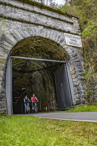 Bild vergr��ern: Fledermaustunnel 2020