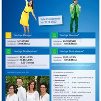 Bild vergr��ern: Flyer FinnErgie