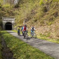 Bild vergr��ern: �ffnung Fledermaustunnel 2021 (2)