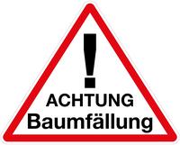 Bild vergr��ern: Baumf�llarbeiten