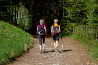 Bild vergr��ern: Nordic Walking