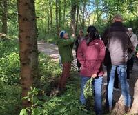 Bild vergr��ern: Kr�uterwanderung in Deutmecke