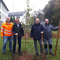 Bild vergr��ern: Baumpflanz-Challenge