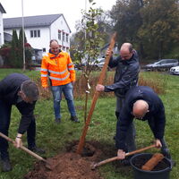 Bild vergr��ern: Baumpflanz-Challenge