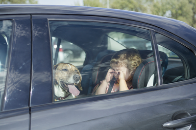 Hinweis: Kinder und Hunde bei Hitze nicht im Fahrzeug zur�cklassen